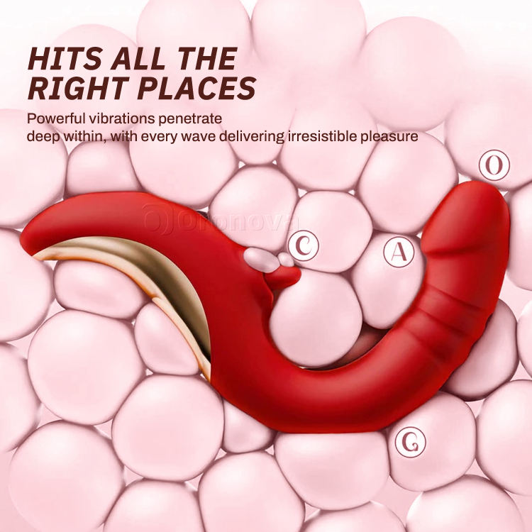 리킹 G 스팟 바이브레이터 - 추스팅 및 바이브레이팅
